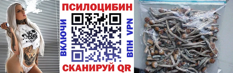 Псилоцибиновые грибы Psilocybine cubensis  blacksprut как зайти  Екатеринбург 