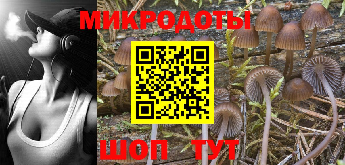 Псилоцибиновые грибы Psilocybe Екатеринбург