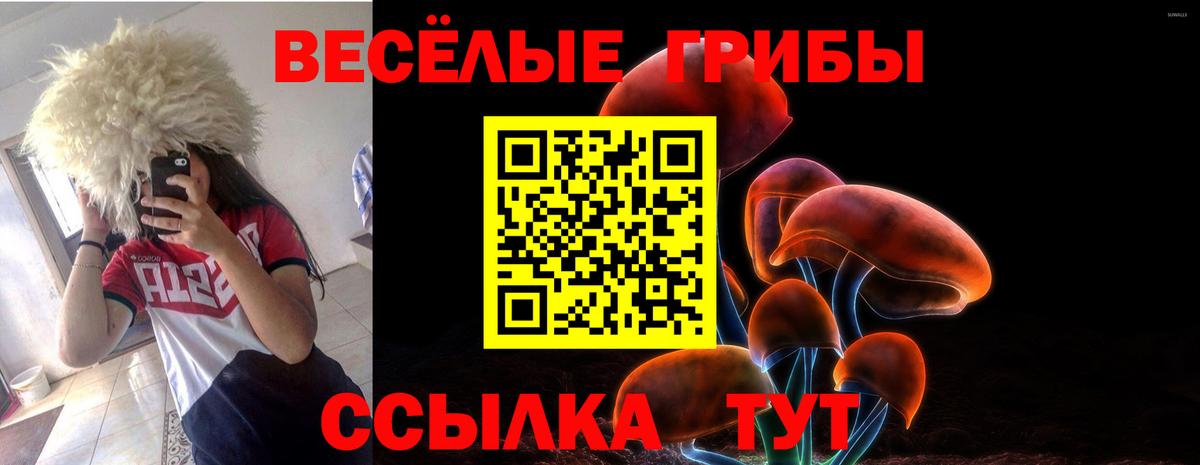 Екатеринбург  Псилоцибиновые грибы Psilocybe  Вход с VPN  Галлюциногенные грибы прущие грибы 